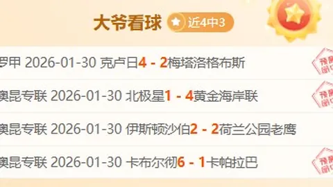 【NBA独家揭秘】揭秘战局内幕：胜负解析与总分大揭秘！