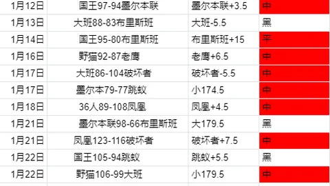 南京欧锦赛：800米金牌得主维尔戈什期待再创辉煌